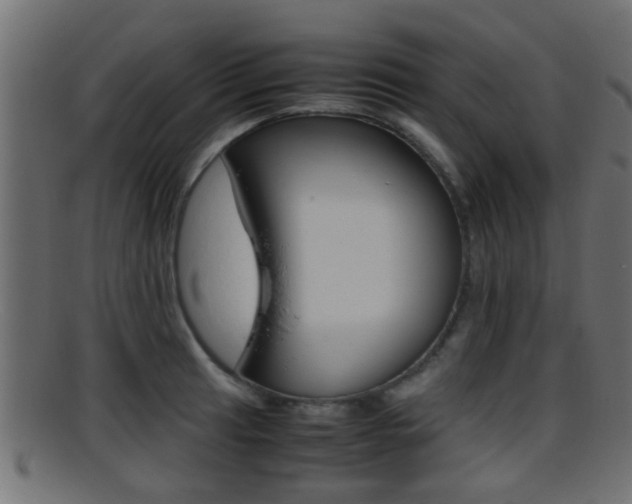 X0000095691041200801081034