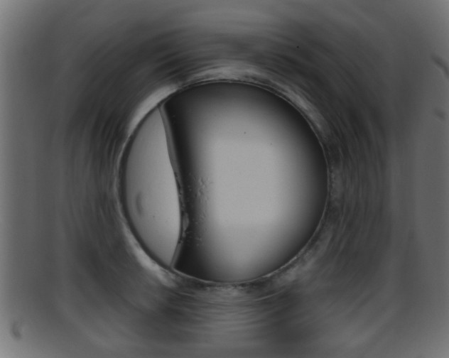 X0000095691042200801081034