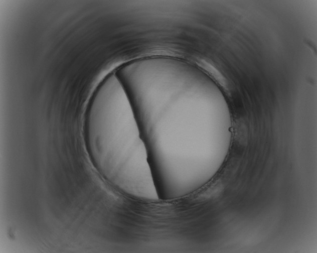 X0000095691043200801081034