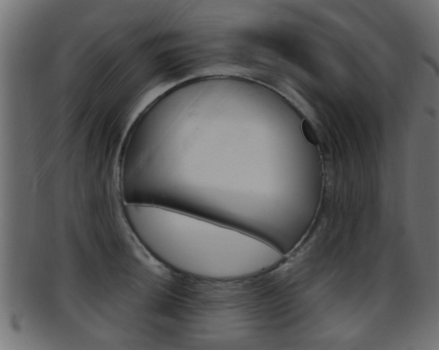 X0000095691044200801081034
