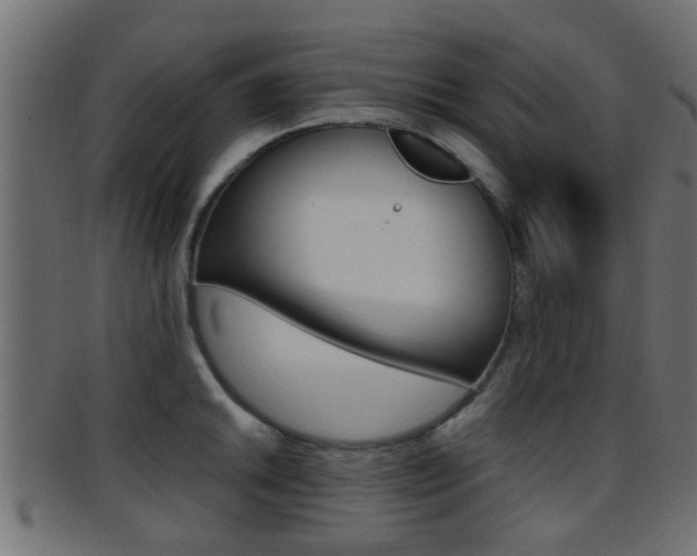 X0000095691046200801081035