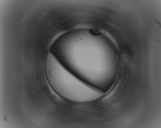 X0000095691049200801081035