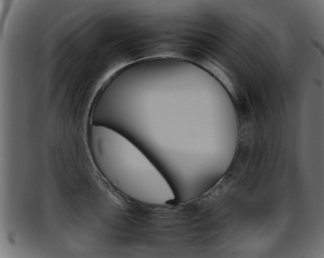 X0000095691051200801081035