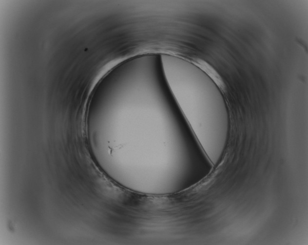 X0000095691052200801081035