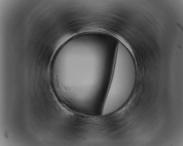 X0000095691053200801081035