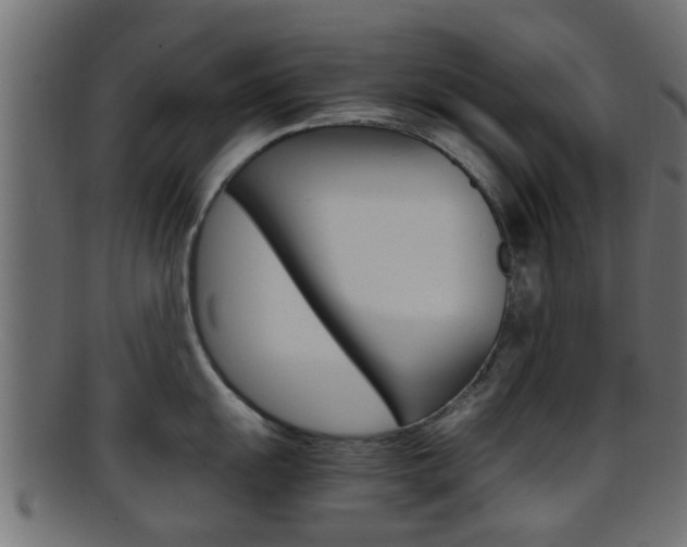 X0000095691055200801081035