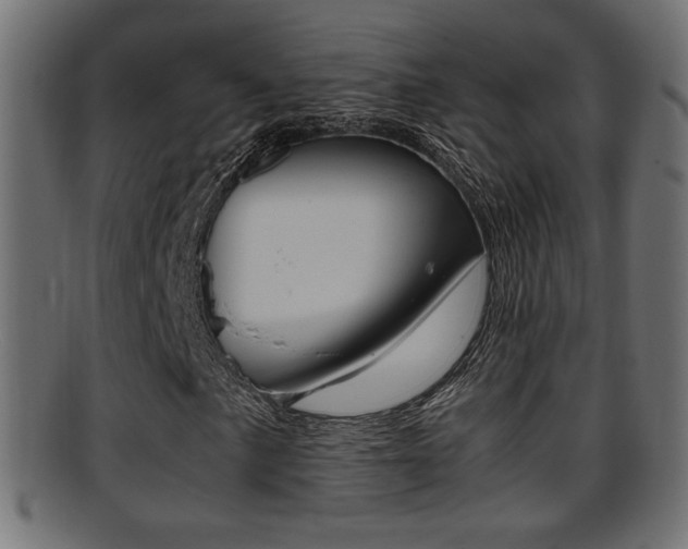 X0000095691057200801081034