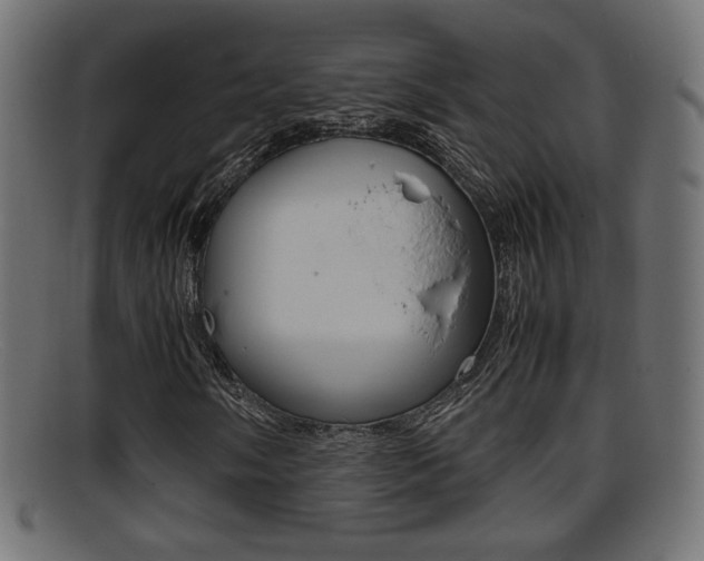 X0000095691058200801081034