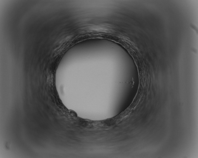 X0000095691061200801081034