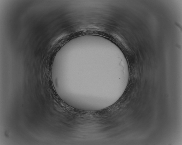 X0000095691063200801081034