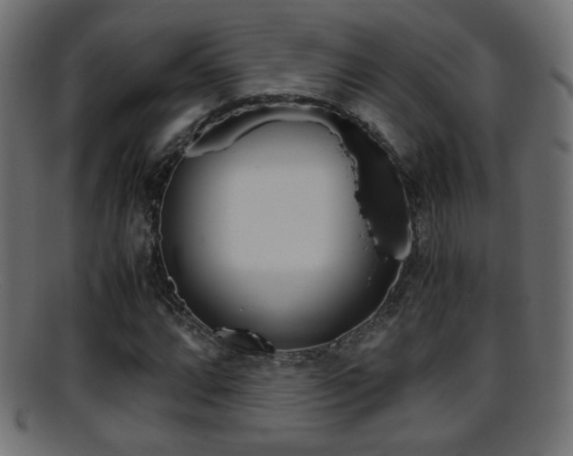 X0000095691064200801081034