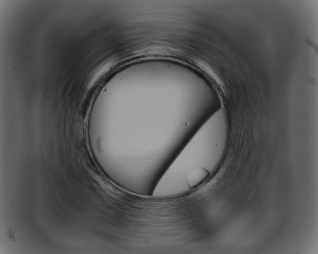 X0000095691067200801081034