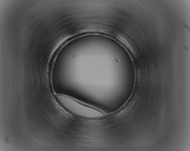 X0000095691068200801081034