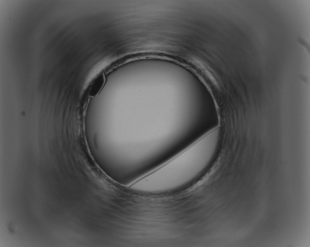 X0000095691069200801081034