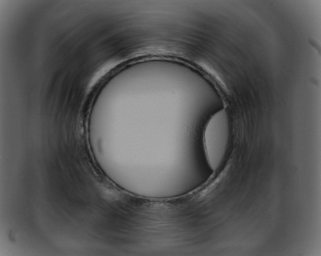 X0000095691070200801081034