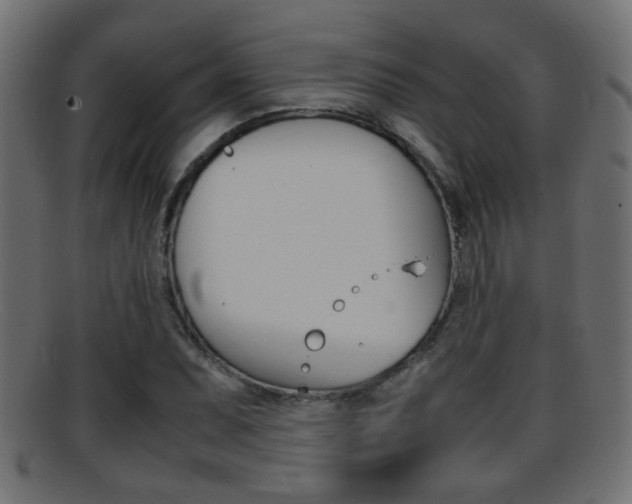 X0000095691071200801081034