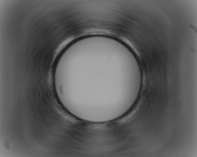 X0000095691074200801081034
