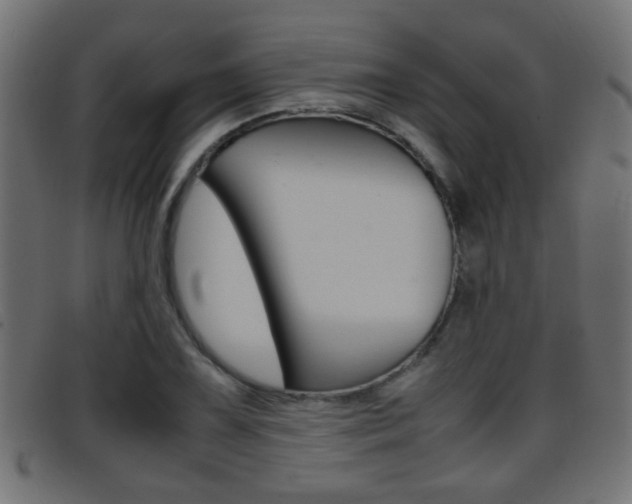 X0000095691075200801081034