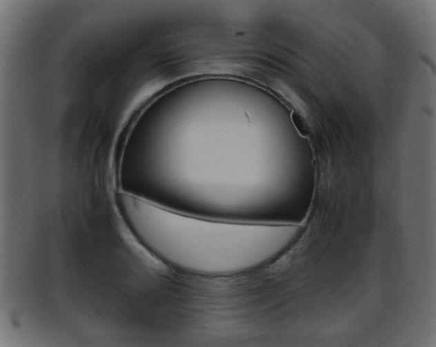 X0000095691080200801081034