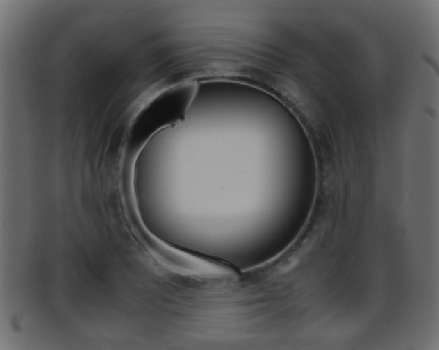 X0000095691081200801081033