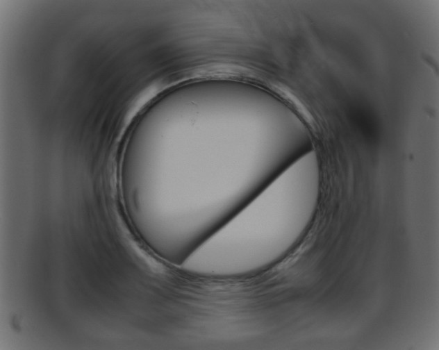 X0000095691083200801081033