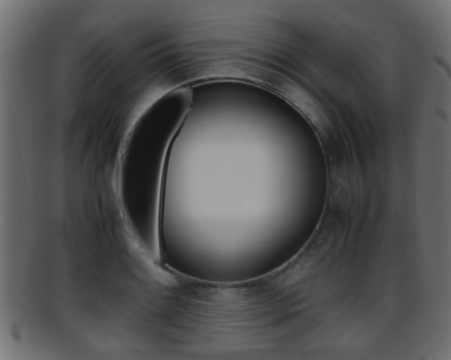 X0000095691084200801081033