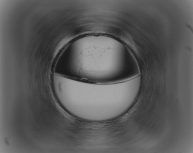 X0000095691085200801081033
