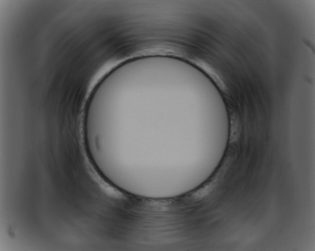 X0000095691086200801081033