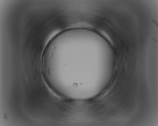 X0000095691087200801081033