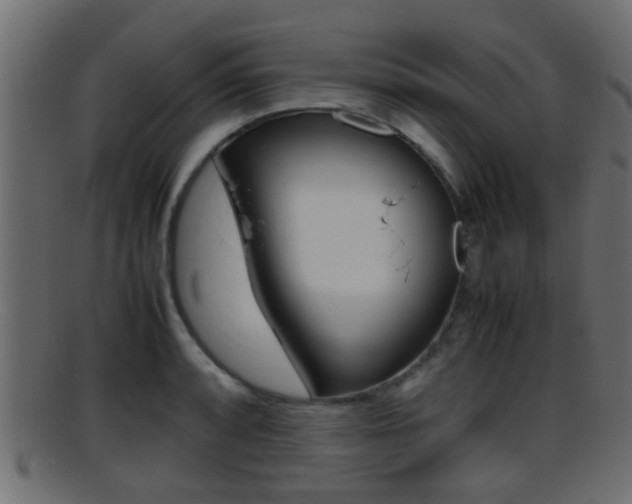 X0000095691088200801081033
