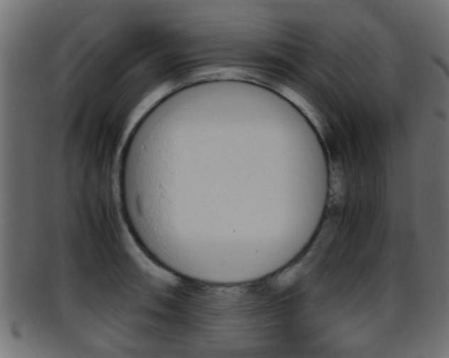 X0000095691090200801081033