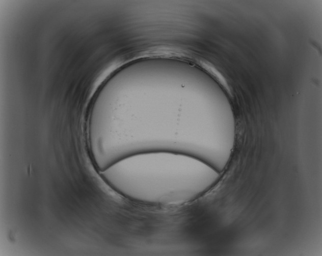 X0000095691091200801081033