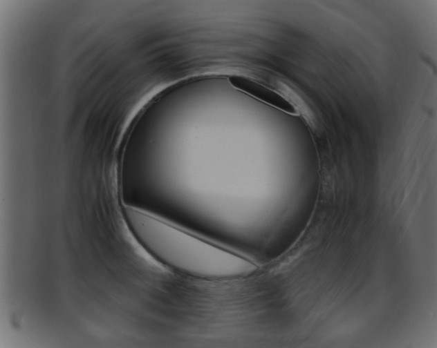 X0000095691092200801081033