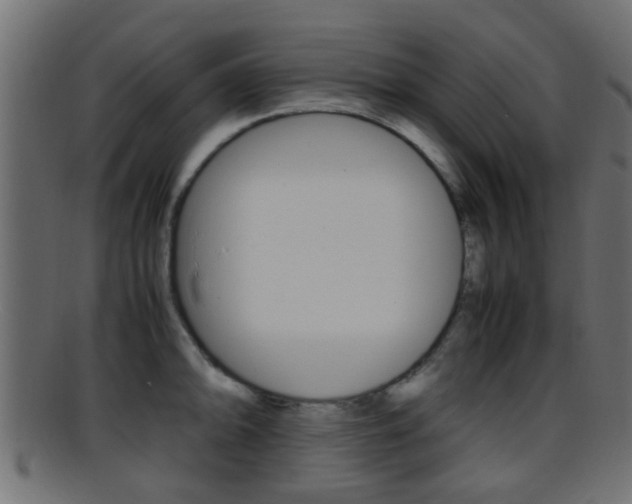 X0000095691094200801081033