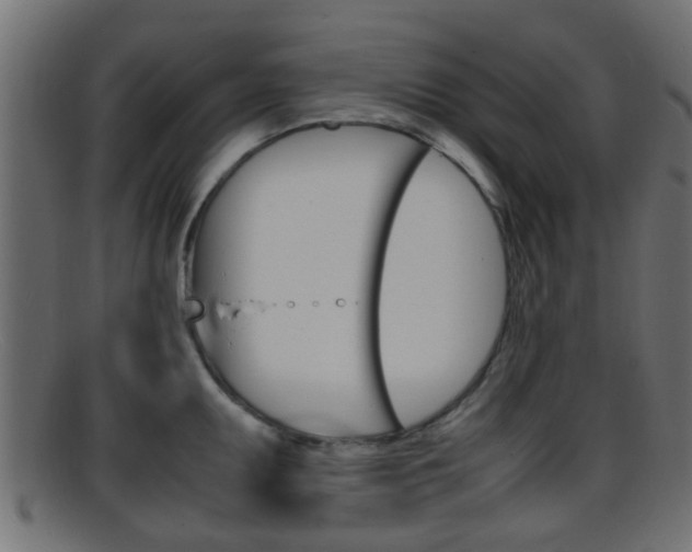 X0000095691095200801081033