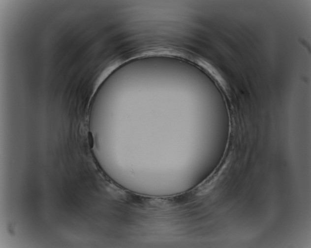 X0000095691097200801081033