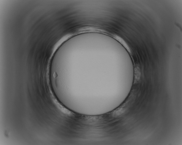 X0000095691098200801081033