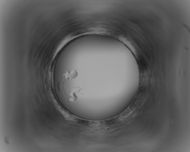 X0000095691099200801081033
