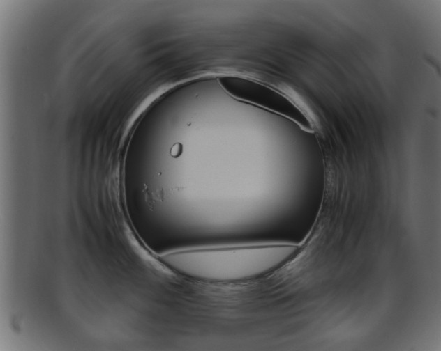 X0000095691100200801081033