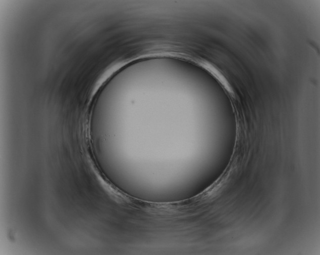X0000095691101200801081033