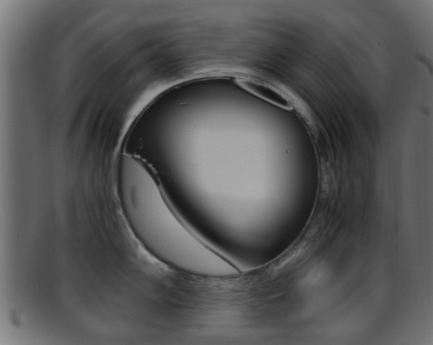 X0000095691102200801081033