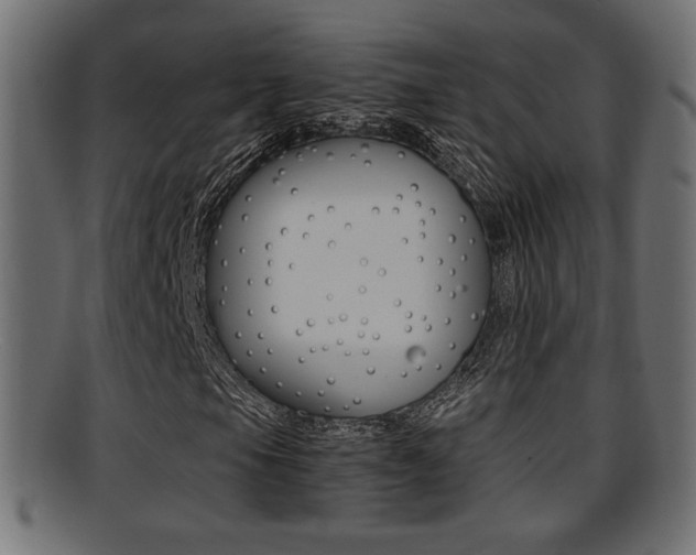 X0000095691105200801081033