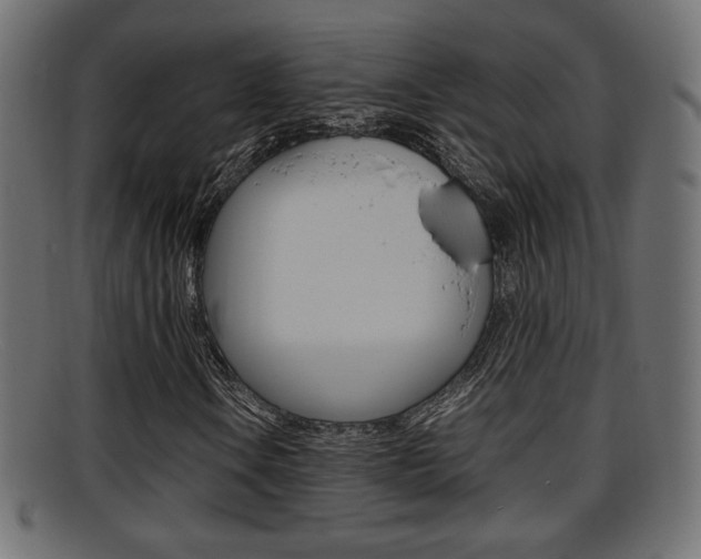X0000095691106200801081033