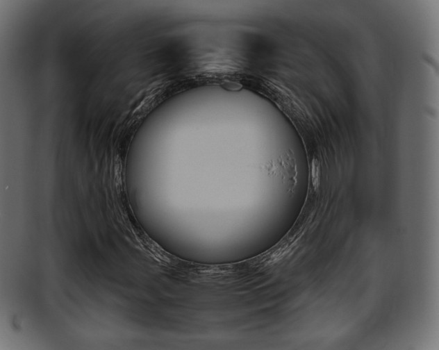 X0000095691107200801081033
