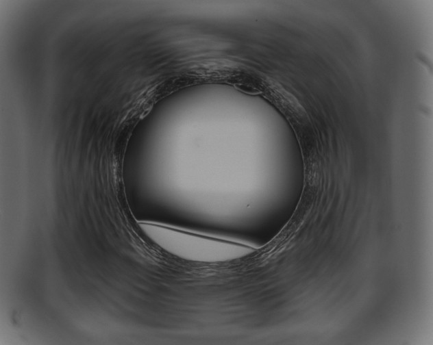 X0000095691108200801081033