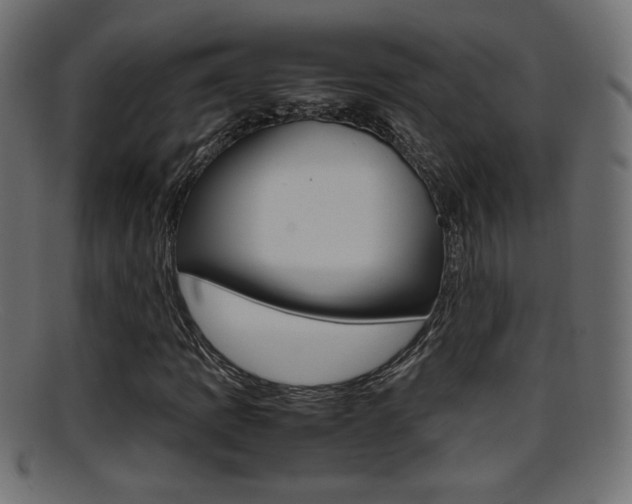 X0000095691109200801081033