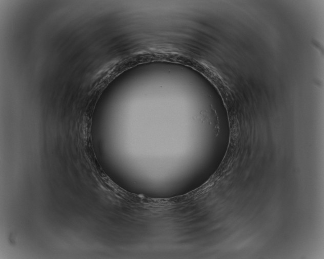 X0000095691110200801081033