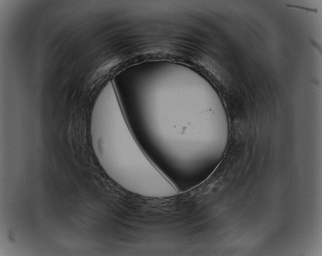 X0000095691111200801081033