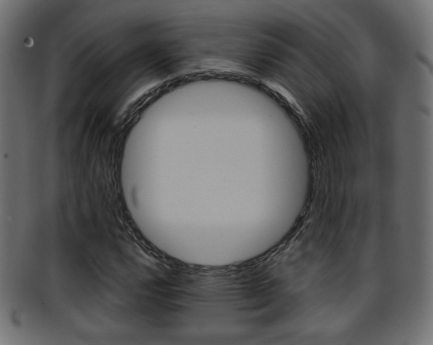 X0000095691112200801081033