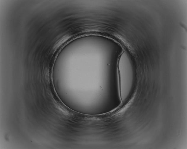 X0000095691113200801081033